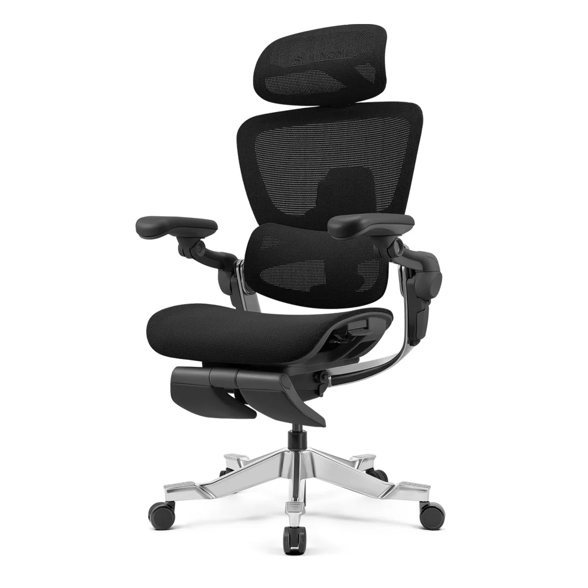 Hinomi H2 Pro Ergonomic Chair